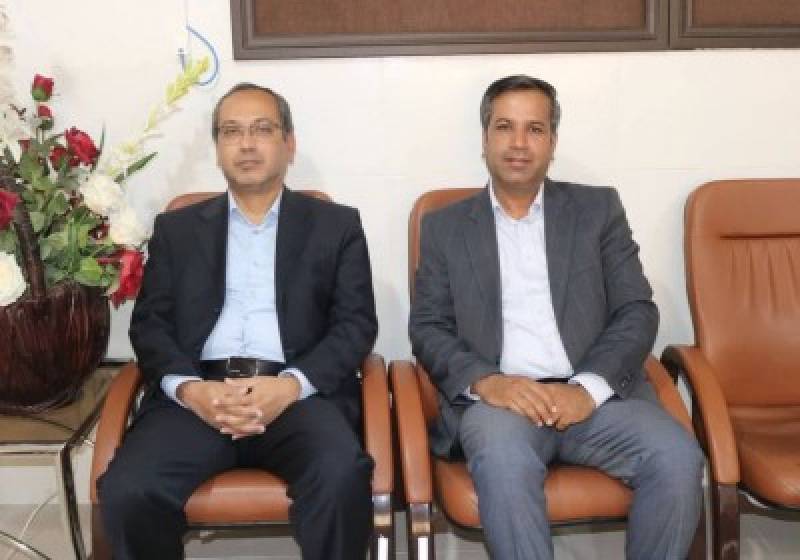 شهروندان بیشترین عامل افزایش سگهای ولگرد هستند